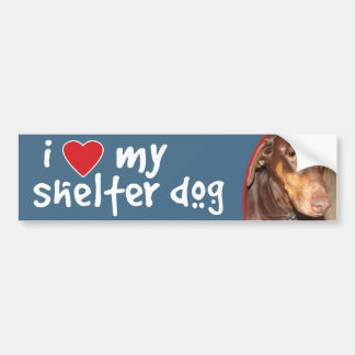 Autocollant De Voiture J'aime mon dobermann de chien d'abri