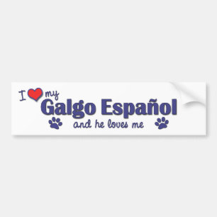 Autocollant De Voiture J'aime mon Galgo Espanol (le chien masculin)
