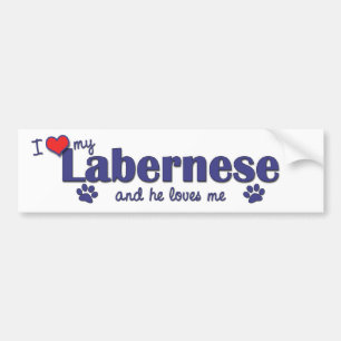 Autocollant De Voiture J'aime mon Labernese (le chien masculin)