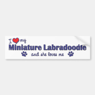 Autocollant De Voiture J'aime mon Labradoodle miniature (le chien
