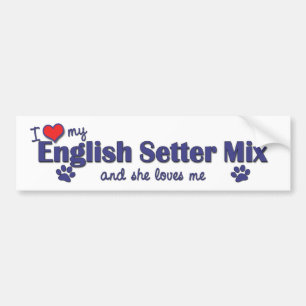 Autocollant De Voiture J'aime mon mélange de poseur anglais (le chien