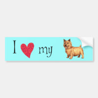 J'aime mon Norwich Terrier