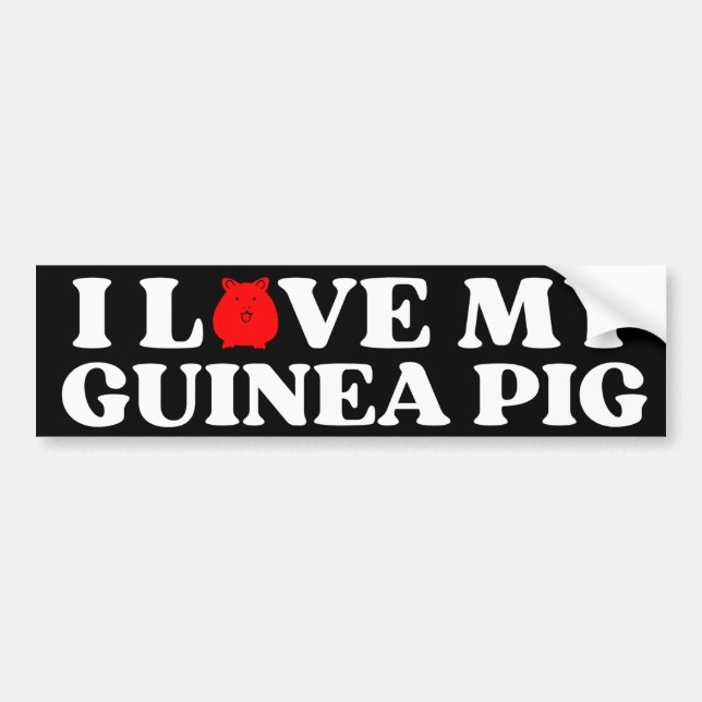 Autocollant De Voiture j'aime mon PIG GUINEA (Devant)