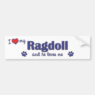 Autocollant De Voiture J'aime mon Ragdoll (le chat masculin)