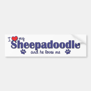Autocollant De Voiture J'aime mon Sheepadoodle (le chien masculin)