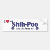 J'aime mon Shih-Poo (le chien femelle)