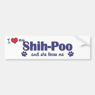 Autocollant De Voiture J'aime mon Shih-Poo (le chien femelle)