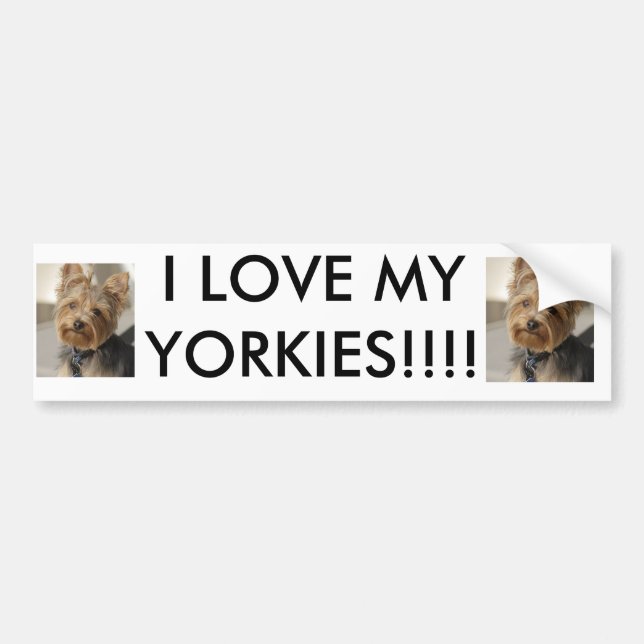 AUTOCOLLANT DE VOITURE J'AIME MON YORKIES ! ! ! ! (Devant)