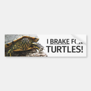 Autocollant De Voiture "Je freine adhésif pour pare-chocs pour tortues"