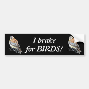 Autocollant De Voiture Je freine pour Birds Kestrel ou Falcon Watercolor