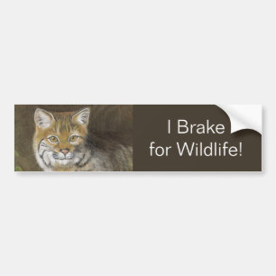 Autocollant De Voiture Je freine pour Bobcat Wildlife