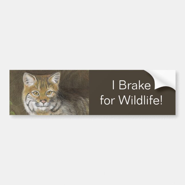 Autocollant De Voiture Je freine pour Bobcat Wildlife (Devant)