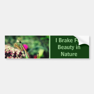 Autocollant De Voiture Je freine pour la beauté Mante religieuse Nature