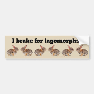 Autocollant De Voiture Je freine pour le lapin de lagomorphes