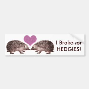 Autocollant De Voiture Je freine pour les HEDGIES ! Enregistrer le pare-c