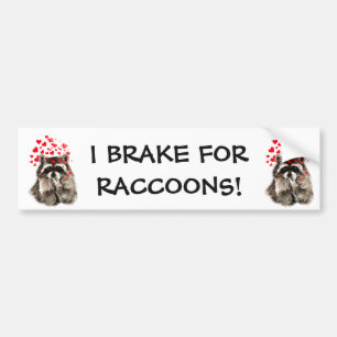 Autocollant De Voiture Je freine pour RACCOONS FUNNY ANIMAL QUOTE