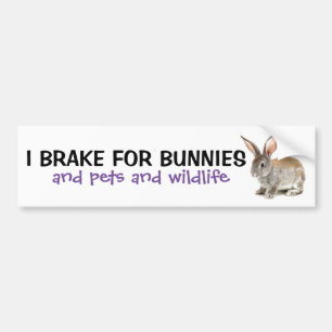 Autocollant De Voiture Je Freins Pour Bumper Sticker Bunnies