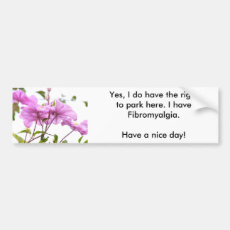 Autocollant De Voiture JE PEUX garer ici l'adhésif pour pare-chocs