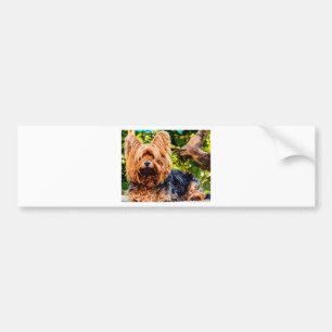 Autocollant De Voiture Joli Chien Animal Yorkie Paix Amour Destinée Amuse