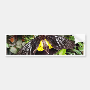 Autocollant De Voiture jolie photographie de papillon noir jaune