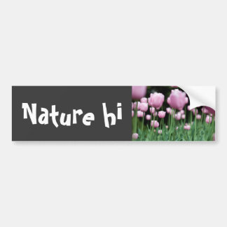 Autocollant De Voiture jungle rose