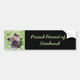 Autocollant De Voiture Keeshond Puppy in the Garden Peinture Art original