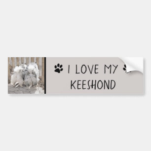 Autocollant De Voiture Keeshonds at the Gate Painting - Original Dog Art
