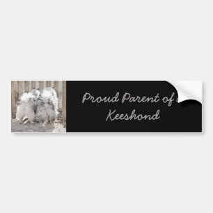 Autocollant De Voiture Keeshonds at the Gate Painting - Original Dog Art