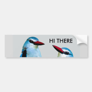 Autocollant De Voiture Kingfisher Birds Afrique du Sud