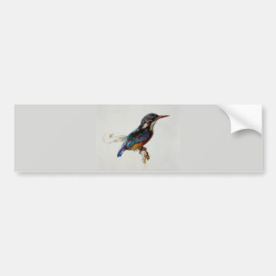 Autocollant De Voiture Kingfisher (par John Ruskin)