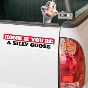 Humoristique Accessoires pour voiture