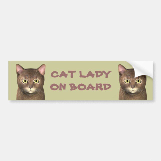 Autocollant De Voiture La Dame Du Chat À Bord (Devant)