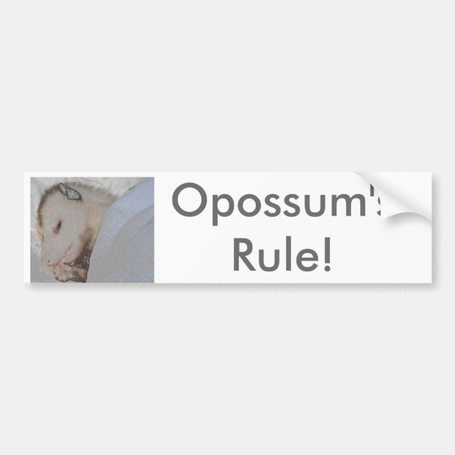 Autocollant De Voiture La règle de l'opossum ! (Devant)