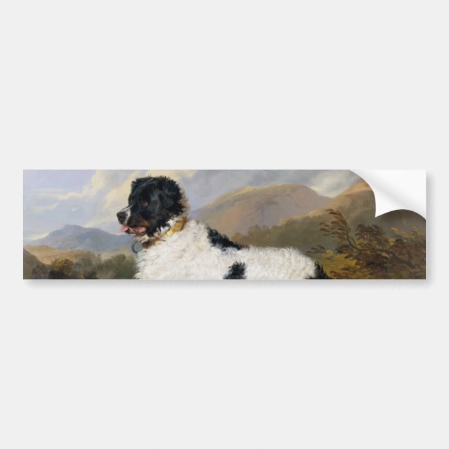 Autocollant De Voiture Landseer Newfoundland Dog (animal noir et blanc) (Devant)