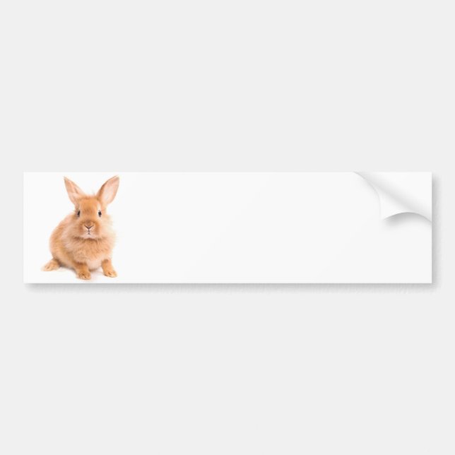 Autocollant De Voiture Lapin (Devant)