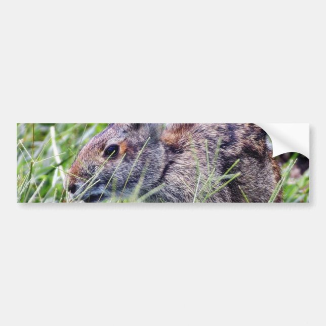 Autocollant De Voiture Lapin Bunny Lapins (Devant)