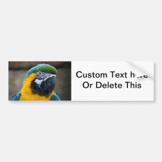 Autocollant De Voiture l'ara de bleu et d'or parrot la vue principale c