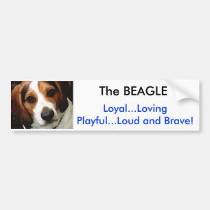 Autocollant De Voiture Le BEAGLE