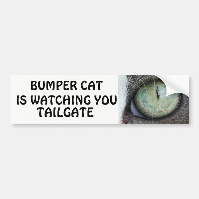 Autocollant De Voiture Le chat de butoir observe la PORTE À RABATTEMENT (Devant)