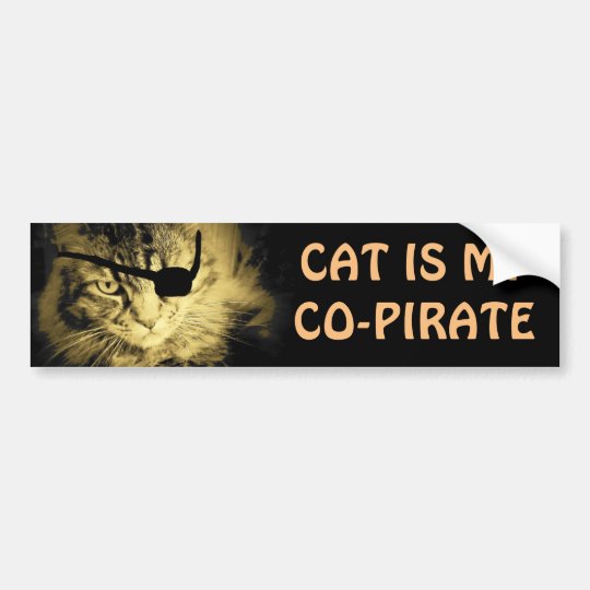 Autocollant De Voiture Le Chat Est Mon Co Pirate Zazzle Fr