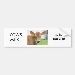 Autocollant De Voiture Le lait de vaches est pour la conception 2 de