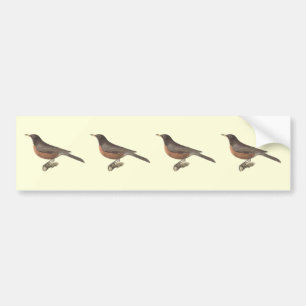 Autocollant De Voiture Le Robin américain (Turdus migratorius) NY Birds