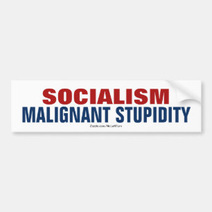 Autocollant De Voiture Le socialisme est malin Stupidité Sticker