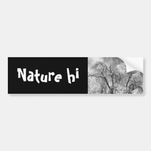Autocollant De Voiture les arbres l'hiver
