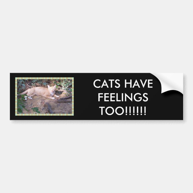 AUTOCOLLANT DE VOITURE LES CHATS ONT DES SENTIMENTS AUSSI ! ! ! ! ! ! (Devant)