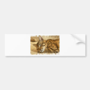 Autocollant De Voiture Let Sleeping Cats Lie Pencil Sketch