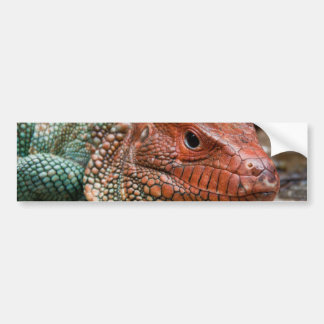 Autocollant De Voiture Lézard