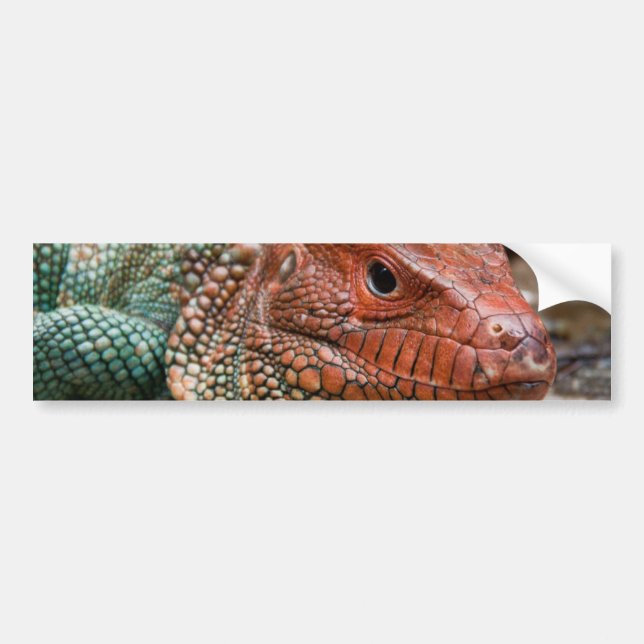 Autocollant De Voiture Lézard (Devant)