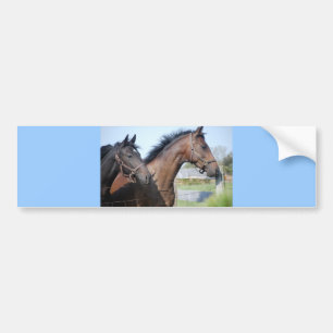 Autocollant De Voiture Ligne de fin de course de cheval