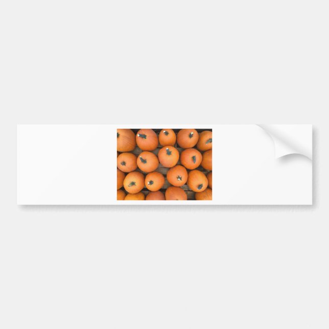 Autocollant De Voiture Lignes citrouilles (Devant)